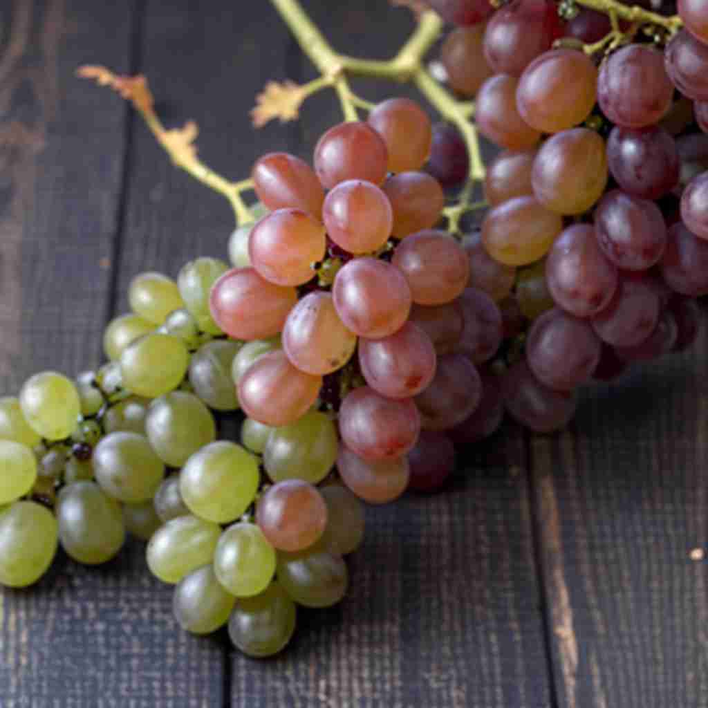 The image showcases a bunch of grapes with a gradient of ripeness, displayed on a wooden surface. The grapes are primarily red, but some appear less ripe, exhibiting a greenish hue. The variation in color within the bunches suggests a natural ripening process. The wooden surface beneath the grapes adds an organic and rustic feel to the image. The grapes' translucent skin indicates they are fresh, with the stems intact, suggesting they were recently harvested.