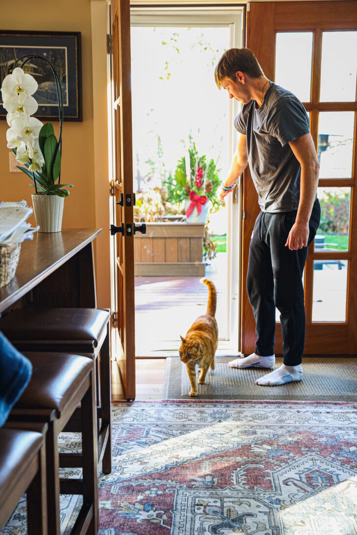 One of Dave’s sons opening the door as Tiger the orange tabby walks inside, sunlight spilling into a warm, lived-in home entryway